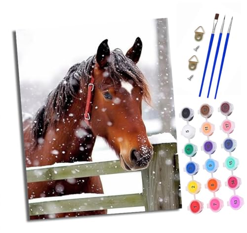 XXHXIE Malen Nach Zahlen Erwachsene-DIY Handgemalt Ölgemälde KitBraunes Pferd im Schnee für Anfänger Mit 3-Pinseln und Acrylfarbe Handgemalt öLgemäLde Kit Als Geschenk 40x50cm (Rahmenlos) von XXHXIE