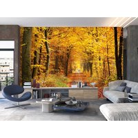 Wald Tapete Regenwald Bäume Nebelig Abnehmbare Vlies Schale Und Stick Selbstklebend Lanscape Natur Wand Wandbild Peint Fototapete von XXLwallpaper