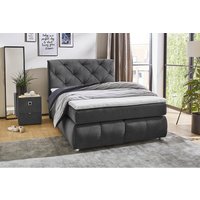 Boxspringbett  grau Liegefläche B/L: ca. 140x200 cm von XXXL
