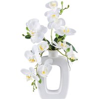 Kunstpflanze Phalaenopsis weiß Kunststoff B/H/L: ca. 16x42x17 cm von XXXL