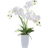 Kunstpflanze Phalaenopsis weiß Kunststoff B/H/L: ca. 20x68x20 cm von XXXL