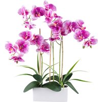 Kunstpflanze Phalaenopsis weiß Kunststoff B/H/L: ca. 27x50x27 cm von XXXL