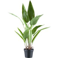 Kunstpflanze Strelitzia Reginae grün Kunststoff B/H/L: ca. 21x85x21 cm von XXXL