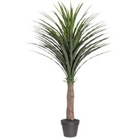 Kunstpflanze Yucca grün Kunststoff B/H/L: ca. 20x120x20 cm von XXXL
