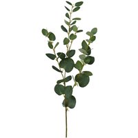 Kunstpflanze grün Kunststoff H: ca. 79 cm von XXXL