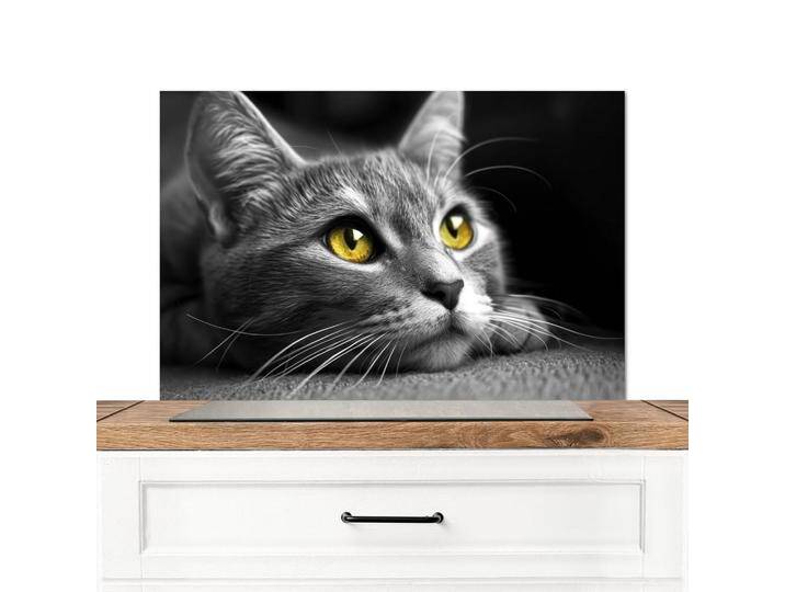 MuchoWow SPRITZSCHUTZ, Grau, Metall, Rechteckig, 90x0.3x60 cm, Kochen, Küchenhelfer, Sonstige Küchenhelfer von XXXLutz Marktplatz