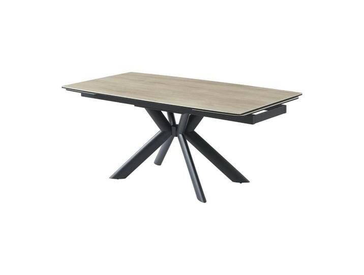 Vente-Unique ESSTISCH, Schwarz, Glas, 10-Sitzer, Rechteckig, 90x76x260 cm, Esszimmer, Tische, Esstische von XXXLutz Marktplatz