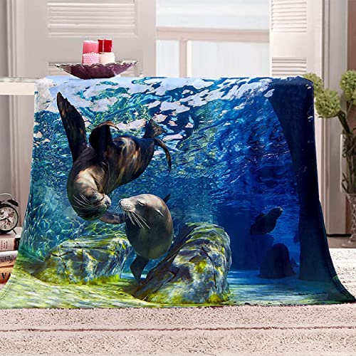 Kuscheldecke flauschig Flanell 150x200cm 3D Delphin Im Aquarium Gedruckte Fleecedecke Weich Decken Mikrofaser Wohndecke Tagesdecke Dicke Sofadecke & Couchdecke Decke Sofa & Bett, für Kinder von XXXXAWA