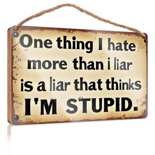 Holzschild für den Außenbereich, Aufschrift "One Thing I Hate More Than A Liar Is A Liar That Thinks I'm Stupid", Sommer-Holzposter zum Aufhängen für Jungenzimmer (20 x 30 cm) von XYBH