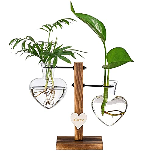 Hydroponik Vase, Hängende Glas Pflanzer, Deko Vase mit Holz Halter, Glasvase, Hängevase Glasvase, Wird für Den Hydroponischen Pflanzenanbau, Büro Dekoration Verwendet von XYJJ
