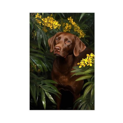 XYSWDD Leinwandposter "A Chocolate Labrador Retriever, der neben einem Baum mit Blumen und Reben im Sommer sitzt, modernes Poster, Wandkunstdrucke, Gemälde, Wohnzimmer, Schlafzimmer, 20 x 30 cm von XYSWDD