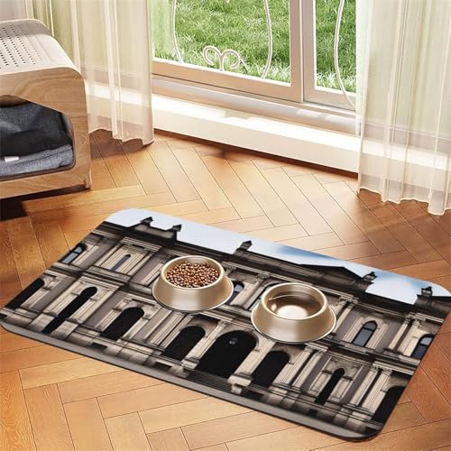 aOld Architecture Haustier-Futtermatte, saugfähig, Leder, rutschfest, 40 x 60 cm, schnell trocknend, wasserdicht, waschbar, Napfunterlage von XZDAL
