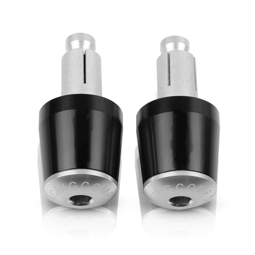 Für CBR1100XX CBR 1100 XX CBR1100 XX BLACKBIRD 1996-2007 Motorradgriffe Lenkergriffenden Stecker Abdeckkappe Ausgewogene Stecker CNC Aluminium Griffteile(Silber) von XZGFZHY