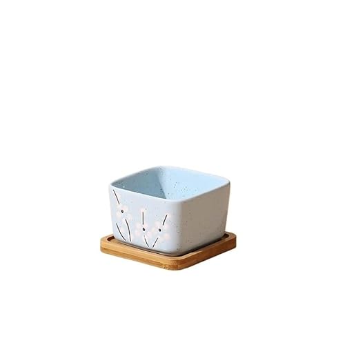 Blumentopf mit Bambus-Tablett, japanischer Stil, Keramik, Mini-Pflanzgefäß, Zement, Sukkulenten, Bonsai, Gartendekoration, Büro, Zuhause, Pflanze (Pflaume) von Xailry