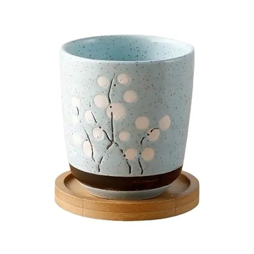 Blumentopf mit Bambus-Tablett, japanischer Stil, Keramik, Mini-Pflanzgefäß, Zement, Sukkulenten, Bonsai, Gartendekoration, Büro, Zuhause, Pflanze (hellgrau) von Xailry