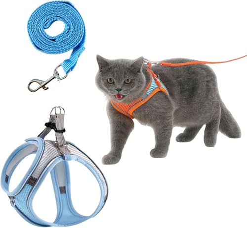 Serenosolee CatVenturPro | Bequemes Katzengeschirr & Hundegeschirr Set – Verstellbares No-Pull Brustgeschirr für Kleine Hunde & Katzen, Ideal für Spaziergänge und Training (Blau,L) von Xalveria