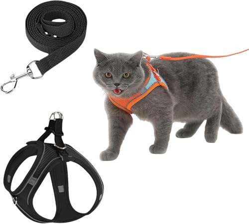 Serenosolee CatVenturPro | Bequemes Katzengeschirr & Hundegeschirr Set – Verstellbares No-Pull Brustgeschirr für Kleine Hunde & Katzen, Ideal für Spaziergänge und Training (Schwarz,L) von Xalveria