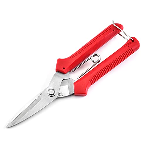 Gartenhandschere Gartenschere Beschnitten Von Scheren Mikrospitzen Schnitt Snips Blattschneider Gerade Florist Schere Baumtrimmer Pruner von Xanorrg