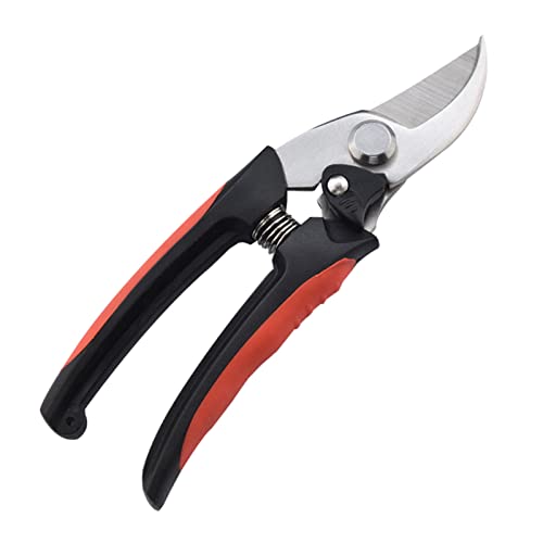 Gartenschnitte Scherschere Obst Picking Schere Transplantieren Transplantationszierwerkzeug Edelstahlzweige Werkzeug Schnitt Für Baumkreis Innenpflanze Heavy Dutless Edelstahl Gartenschnitte Scherschere Obst Picking Schere Transplantieren Transplantationszierwerkzeug Edelstahlzweige Werkzeug Schnitt Für Baumkreis Innenpflanze Heavy Dutless Edelstahl von Xanorrg