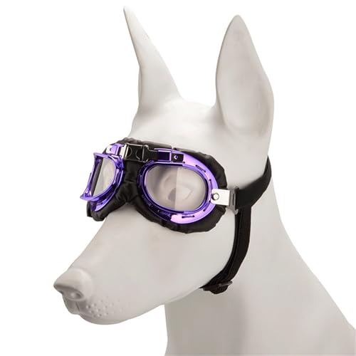 Hundebrillen Augen Schützen Sonnenbrille Winddichte Persönlichkeit Welpen Brillen Für Kleine Medienhunde Strandhund Sonnenbrille Hundebrillen Augen Schützen Sonnenbrille Winddichte Persönlichkeit Welpen Brillen Für Kleine Medienhunde Strandhund Sonnenbrille von Xanorrg