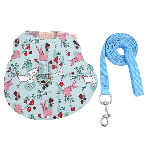 Kaninchen Blumengurt Und Leinen Kleines Wandeln von Xanorrg