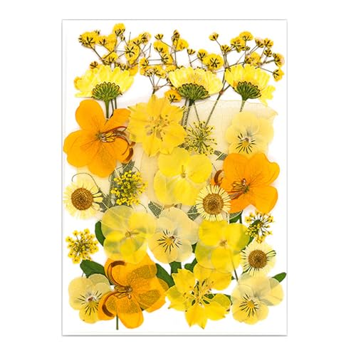 Natürliche Gepresste Getrocknete Für Epoxidharz Trockene Blüten Und Blätter Für Seifen Kerzenschmuck Die Scrapbooking Getrockneter Blumenfahrzeuge Machen von Xanorrg