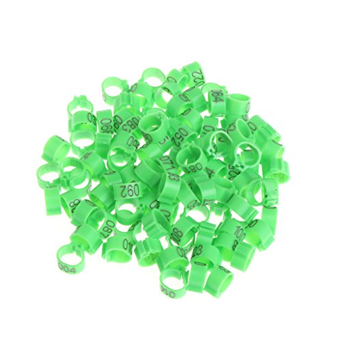 Xanorrg 100 PCs Hühnervogelbein Ringe Bunte Truthahn Identifikationsbänder Geflügelbänder Clip Für Tauben Vögel 10mm Papageienspielzeug Afrikanische Grau Kleine Papageien Große Vögel Conure Macaw Xanorrg 100 PCs Hühnervogelbein Ringe Bunte Truthahn Identifikationsbänder Geflügelbänder Clip Für Tauben Vögel 10mm Papageienspielzeug Afrikanische Grau Kleine Papageien Große Vögel Conure Macaw von Xanorrg