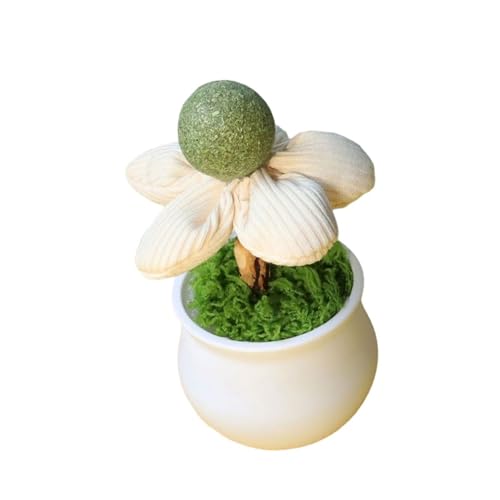 Xanorrg Catnips Leckt Ball Mit Blumentöpfe Form Für Kätzchen Spaß Und Entspannung Innenanreicherungs Teaser Topfpflanzen Katzenfleischspielzeug Spielzeug von Xanorrg