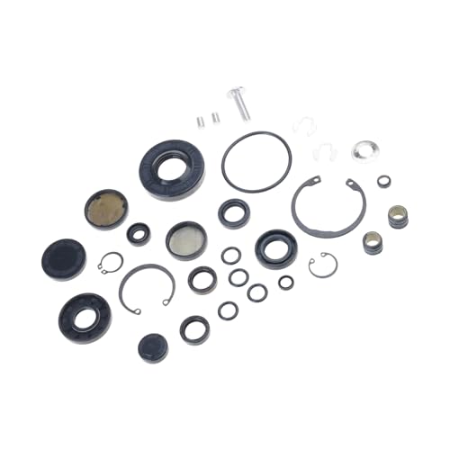 Xanorrg Edelstahlhydraulikpumpen Dichtungsservice Set Für ZT-2800 ZT-3400 Transaxles Wartung 30pcs 72994 Edelstahl ABS Hydraulikpumpe Dichtung von Xanorrg