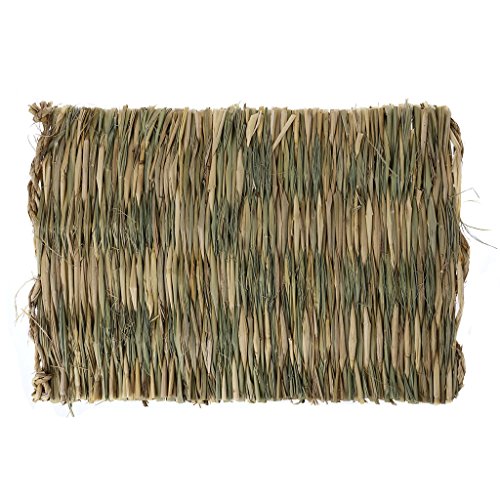 Xanorrg Grasmatte Gewebtes Bett Kleines Natürliche Strohbettwaschung Kaut Spielzeug Für Meerschweinchen Papageien Kaninchen Hasen Hamster Kaninchenspielzeug Natürliche Xanorrg Grasmatte Gewebtes Bett Kleines Natürliche Strohbettwaschung Kaut Spielzeug Für Meerschweinchen Papageien Kaninchen Hasen Hamster Kaninchenspielzeug Natürliche von Xanorrg