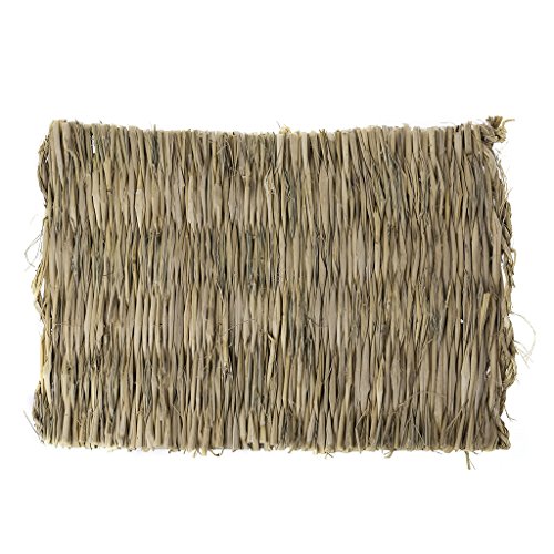 Xanorrg Grasmatte Gewebtes Bett Kleines Natürliche Strohbettwaschung Kaut Spielzeug Für Meerschweinchen Papageien Kaninchen Hasen Hamster Kaninchenspielzeug Natürliche Xanorrg Grasmatte Gewebtes Bett Kleines Natürliche Strohbettwaschung Kaut Spielzeug Für Meerschweinchen Papageien Kaninchen Hasen Hamster Kaninchenspielzeug Natürliche von Xanorrg