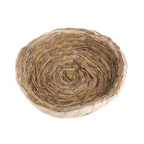 Xanorrg Handgefertigt Für Taubengewebte Bett Kaninchen Strohbettwestnest Kauen Spielspielzeug Hamster Papagei Häschen Hedgehog Guin Guina Bett Hamster Toys Kaninchen Kätzchen Hay House Xanorrg Handgefertigt Für Taubengewebte Bett Kaninchen Strohbettwestnest Kauen Spielspielzeug Hamster Papagei Häschen Hedgehog Guin Guina Bett Hamster Toys Kaninchen Kätzchen Hay House von Xanorrg