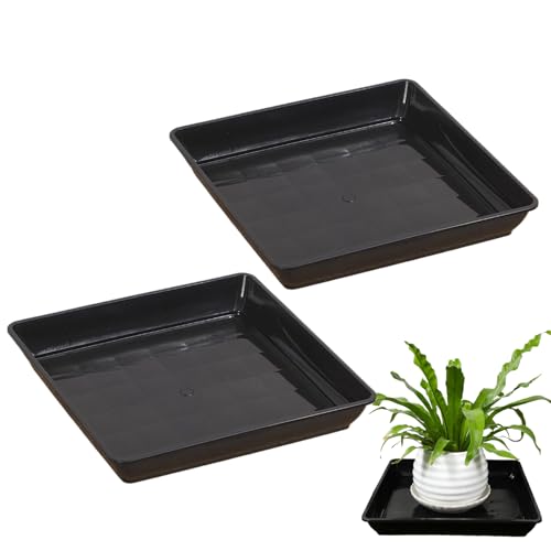 Pflanzenunter Untertasse - Blütenstopftropfenschalen - Plastikplattentopfschale | Langlebige Hochleistungskunststoffe | 12 Zoll Durchmesser | Lecksoser Wasserfänger | Leicht und UV -resistent | Passt von Xasbseulk