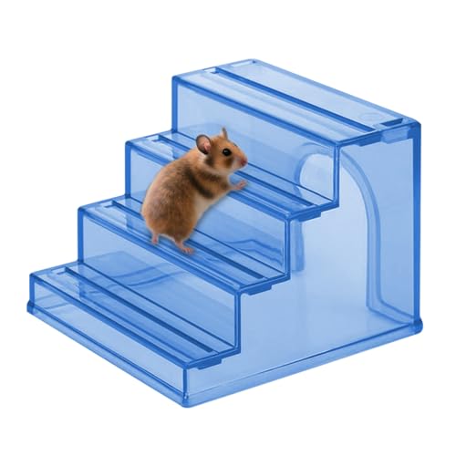 Xasbseulk Hamsterleiter - Hamstermöbel,2-in-1 Gehegelandschaft Mit Rutschfesten Spielzeug Für Nager Bewegung Futtersuche Knabberbedürfnisse Nistplatz Xasbseulk Hamsterleiter - Hamstermöbel,2-in-1 Gehegelandschaft Mit Rutschfesten Spielzeug Für Nager Bewegung Futtersuche Knabberbedürfnisse Nistplatz von Xasbseulk