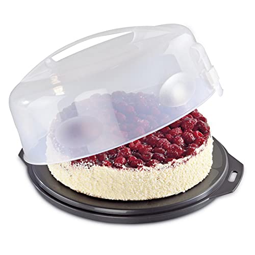 Xavax Kuchen-Transportbox rund mit Deckel Kuchenbehälter 31,5 cm Durchmesser, Innenhöhe 8 cm,Kuchenbox mit Stückeinteilungshilfe,Tortenplatte anthrazit, Transparent von Xavax
