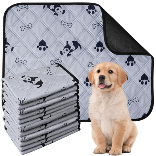 Waschbare Hundetrainingspads, groß, wiederverwendbar, für Welpen, Urinierunterlagen, schnell trocknend, rutschfeste Unterseite, Hundematte mit Pfotenabdruck für Hunde, Katzen, Kaninchen, Grau, 40 x 60 Waschbare Hundetrainingspads, groß, wiederverwendbar, für Welpen, Urinierunterlagen, schnell trocknend, rutschfeste Unterseite, Hundematte mit Pfotenabdruck für Hunde, Katzen, Kaninchen, Grau, 40 x 60 von Xaztr