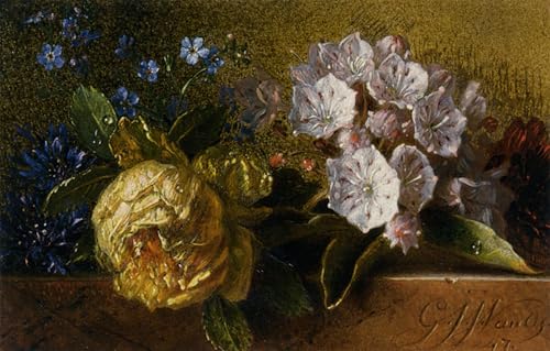 XcBAIHOUD Bekannt Bilder Canvas Wand Kunstdrucken Blumen auf einem Felsvorsprung von george jacobus johannes van os Natur Leinwand Kunst Wanddekoration für Zimmer 60x90cm XcBAIHOUD Bekannt Bilder Canvas Wand Kunstdrucken Blumen auf einem Felsvorsprung von george jacobus johannes van os Natur Leinwand Kunst Wanddekoration für Zimmer 60x90cm von XcBAIHOUD