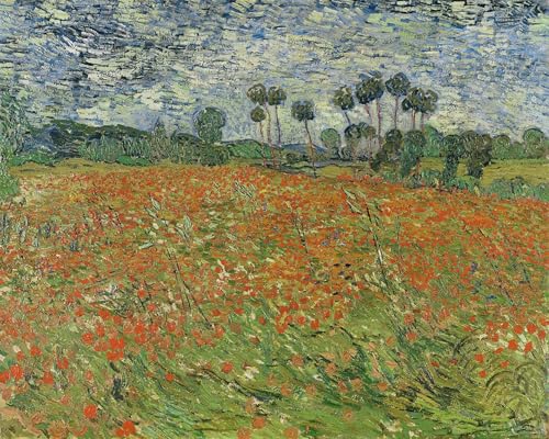 XcBAIHOUD Bekannt Bilder Canvas Wand Kunstdrucken Mohnfeld auvers-sur-oise von vincent van gogh Natur Leinwand Kunst Wanddekoration für Zimmer 60x90cm von XcBAIHOUD