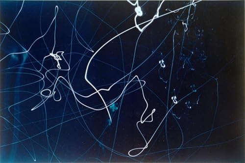 XcBAIHOUD Berühmte Gemälde Kunstdruck Wanddeko Wand Modern Canvas Leinwandbild Ampeln von Laszlo Moholy Nagy Wall Decoration Bilder für Wohnzimmerdekoration 60x90cm von XcBAIHOUD