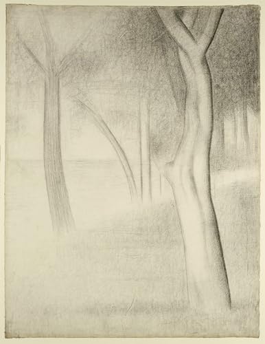 XcBAIHOUD Berühmte Gemälde Kunstdruck Wanddeko Wand Modern Canvas Leinwandbild Bäume von Georges Pierre Seurat Wall Decoration Bilder für Wohnzimmerdekoration 60x90cm XcBAIHOUD Berühmte Gemälde Kunstdruck Wanddeko Wand Modern Canvas Leinwandbild Bäume von Georges Pierre Seurat Wall Decoration Bilder für Wohnzimmerdekoration 60x90cm von XcBAIHOUD