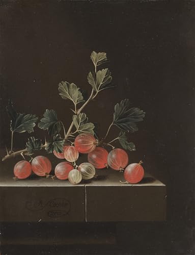 XcBAIHOUD Berühmte Gemälde Moderne Wandbild Kunstdruck Wand Dekoration Stachelbeeren auf einem Tisch von Adriaen Coorte Wandposter Kunstdruck für Wohnzimmerdekoration 60x90cm XcBAIHOUD Berühmte Gemälde Moderne Wandbild Kunstdruck Wand Dekoration Stachelbeeren auf einem Tisch von Adriaen Coorte Wandposter Kunstdruck für Wohnzimmerdekoration 60x90cm von XcBAIHOUD
