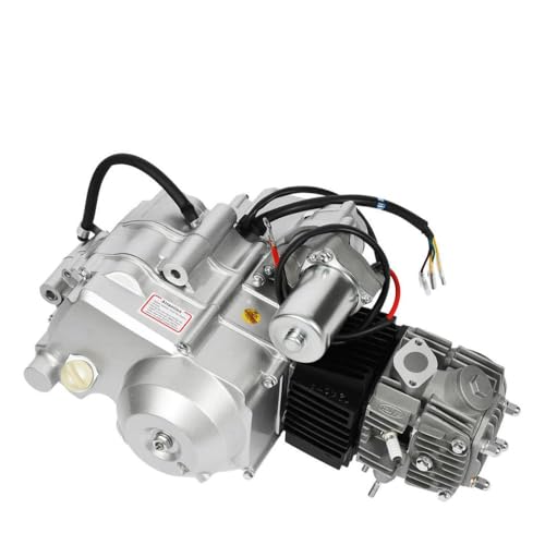 125cc 4 -Stroke Einer Zylinderluftgekühlt Motor Kit kompatibel mit Go Karts Quad Bikes Dirt Bikes ATVS Pit Bikes und Buggys 125cc 4 -Stroke Einer Zylinderluftgekühlt Motor Kit kompatibel mit Go Karts Quad Bikes Dirt Bikes ATVS Pit Bikes und Buggys von XcJyoPBec