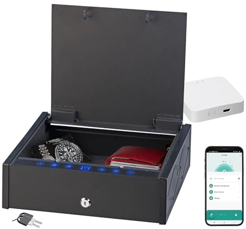 Xcase Mini-Schlüssel-Safe: Tresor mit biometrischer Fingerabdruckerkennung, WLAN-Gateway und App (Mini Tresor mit Schlüssel, Safe, Zahlenschloss) von Xcase