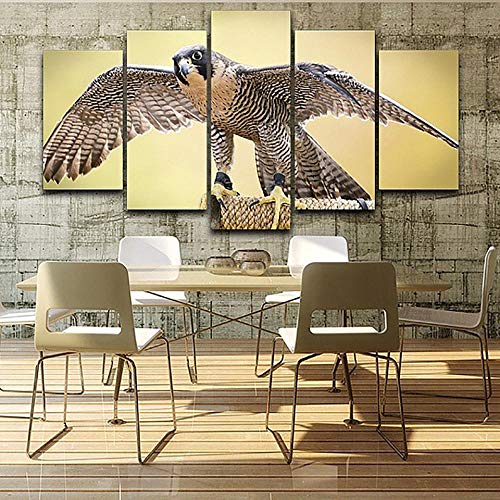Poster Bild Auf Leinwand Wandkunst Home 5 Panel Falke Tier Modulare Dekoration Wohnzimmer Hd Gedruckt Moderne Malerei,Mit Rahmen von Xcstdjx
