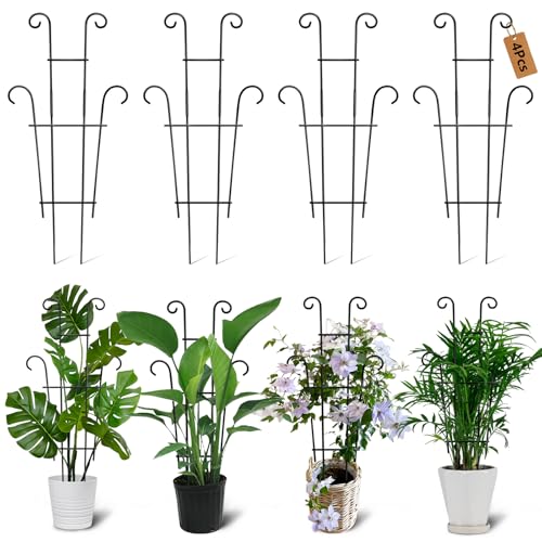 Xeeol 4P Pflanzenspalier für Topfpflanzen, größeres 58,4 cm Garten-Rankgitter für Kletterpflanzen drinnen und draußen, rostfreie Zimmerpflanzen-Stützpfähle für Pothos Hoya Efeu-Blume von Xeeol