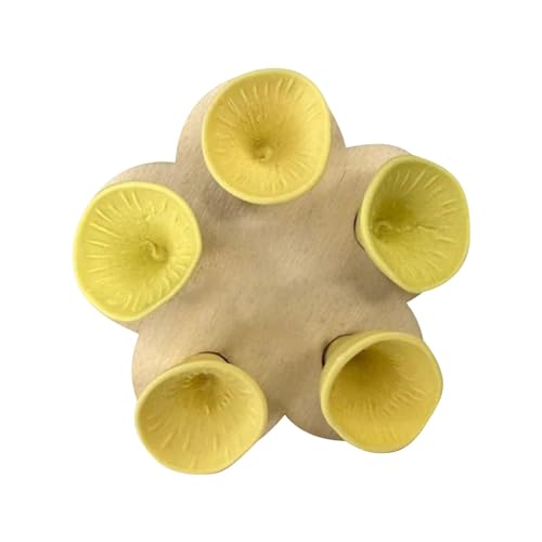 5pc Bienen Insekten Trinkbecher， Bee Insect Drinking Bee Cups für Bienen Trinken Insect Feeder Bienenbecher Bienen Brauchen Sichere Trinkplätze (Yellow) von XehCaol