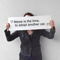 Personalisiertes Riesen Fortune Cookie Zitat Print, Katzencafe Benutzerdefinierte Kunstschild, Personalisiertes Katzenliebhabergeschenk, Adopt Don't von Xenotees