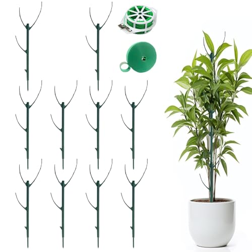 Rankhilfe Pflanzenstütze, 10 Stück Rankhilfe Zimmerpflanzen Mit 2 M Klebeband, Rank-Hilfe Garten Monstera Rankhil-fe Pflanzstab Wiederverwendbar, Pflanzenhalter Flexibler Orchideenstäbe von Xevinas