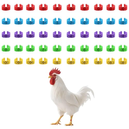 Xgvzs 100 Stück Hühnchen Identifikation Beine Ringe 5 Farben Geflügel Fußringe 20mm Plastikgeflügel Beinringe für Truthahn Ente Gans von Xgvzs