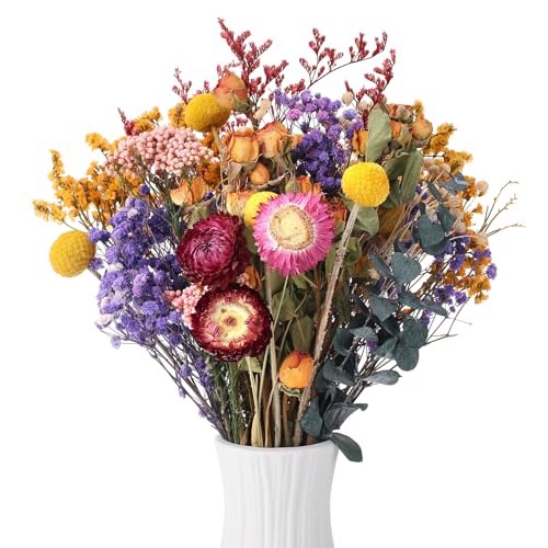 Xialvyu 30 Stück Trockenblumen Deko Set, 9 Stile Getrocknete Blumen, Natürliche Rose Lila Schleierkraut Blumenstrauß Boho Dekoration, Dried Flowers Pflanzen für Kunst Wohnzimmer Hochzeit Tischdeko Xialvyu 30 Stück Trockenblumen Deko Set, 9 Stile Getrocknete Blumen, Natürliche Rose Lila Schleierkraut Blumenstrauß Boho Dekoration, Dried Flowers Pflanzen für Kunst Wohnzimmer Hochzeit Tischdeko von Xialvyu